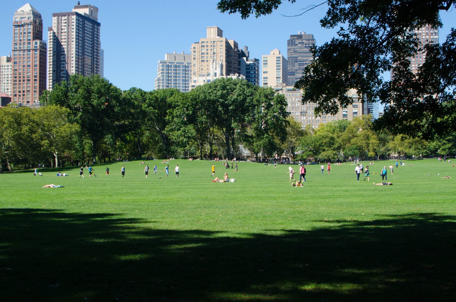 You are currently viewing 10 best places to visit in summer in new York city